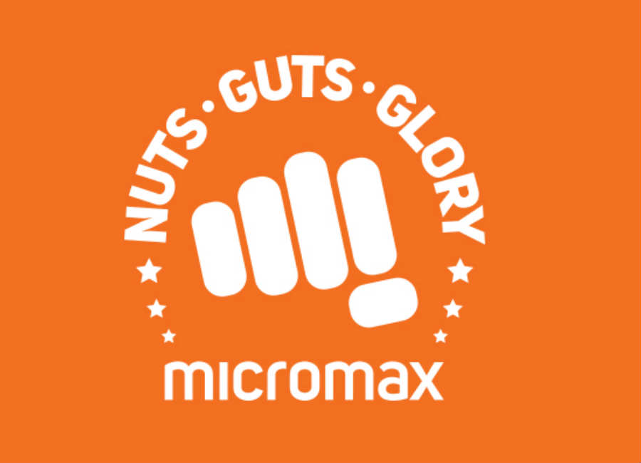 micromax new logo